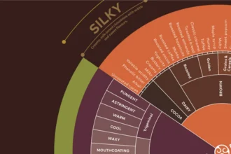 Section of the Callebaut Taste Wheel mapping chocolate flavour, aroma, texture and mouthfeel descriptors.