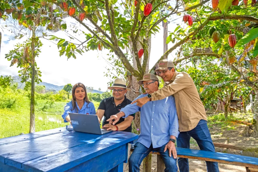 Cocoa farmers and field coaches reviewing information on a laptop beneath cocoa trees in Brazil.