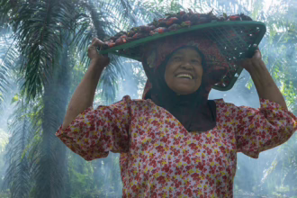 Smiling farmer carrying a tray of harvested oil palm fruit through a palm plantation.